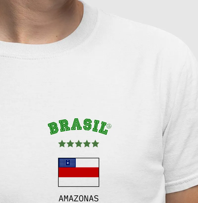 Brasil Amazonas (bolso)