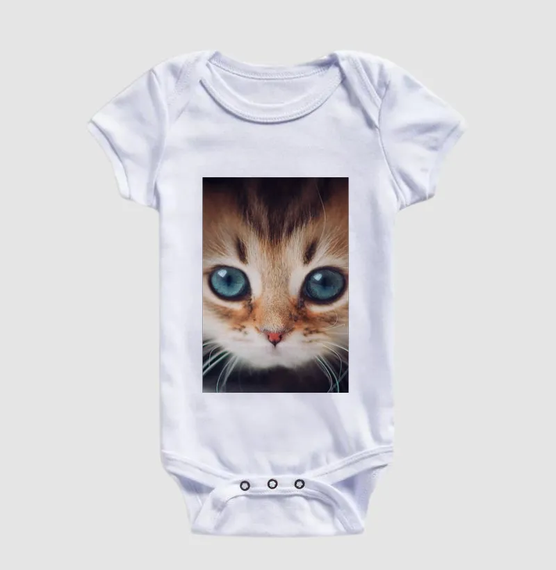 Gatinho - Imagem 3