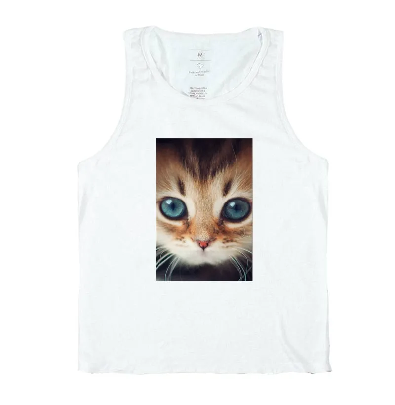 Gatinho - Imagem 2