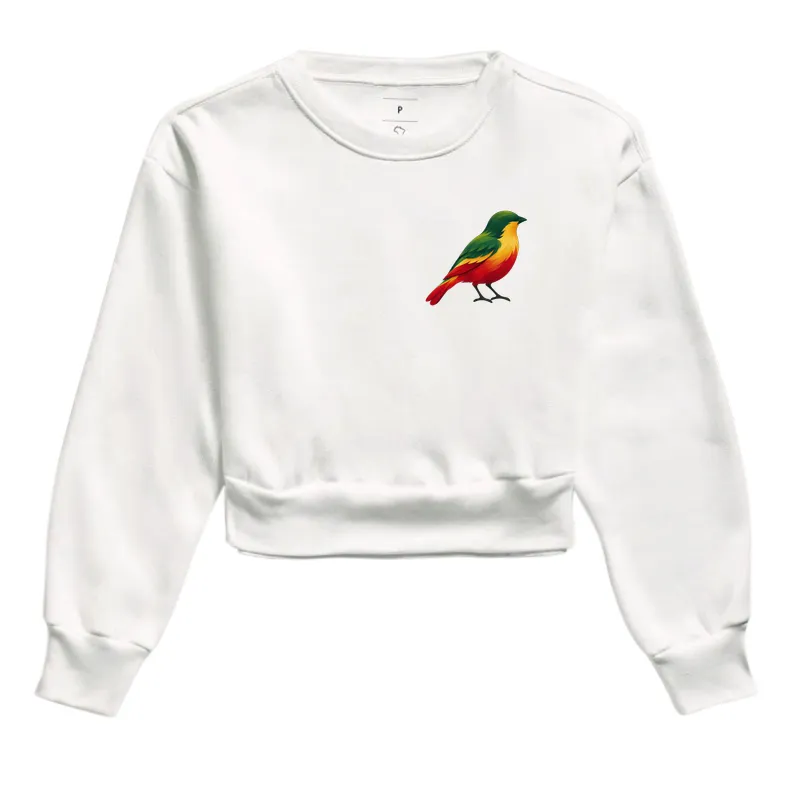 A little bird - Imagem 3