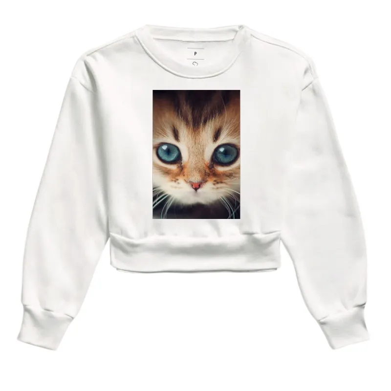 Gatinho - Imagem 3