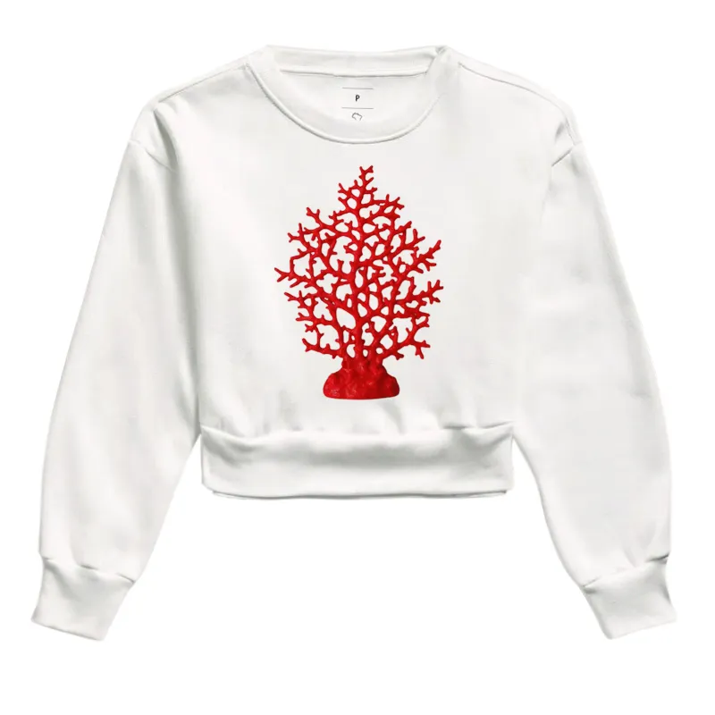 Coral - Imagem 3