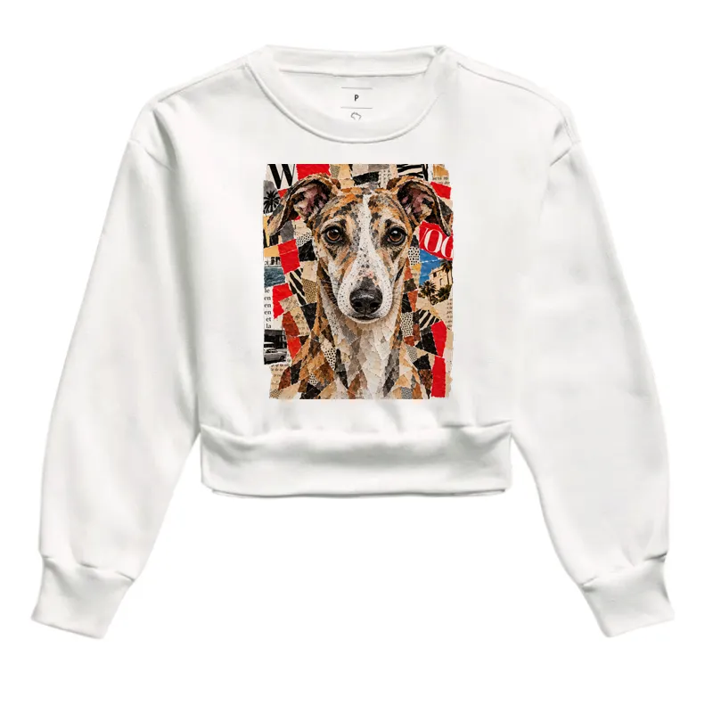 Whippet Magazine Collage - Imagem 3