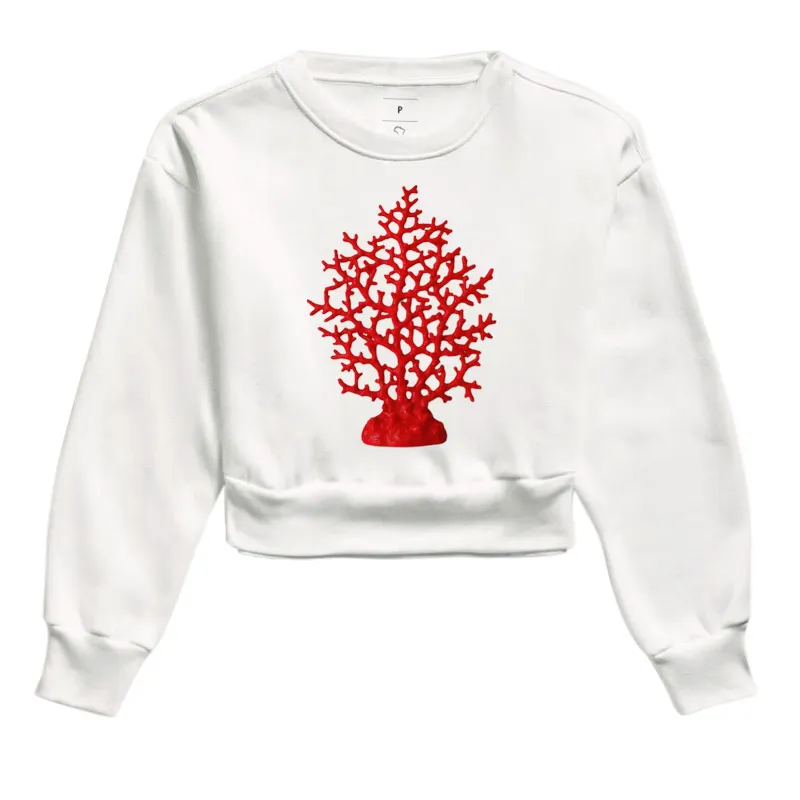 Coral  - Imagem 3