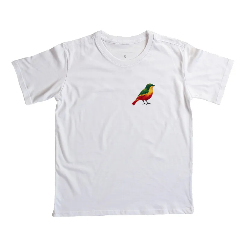 A little bird - Imagem 5