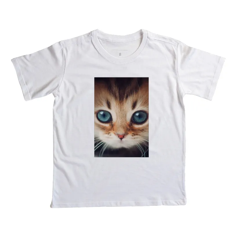 Gatinho - Imagem 4