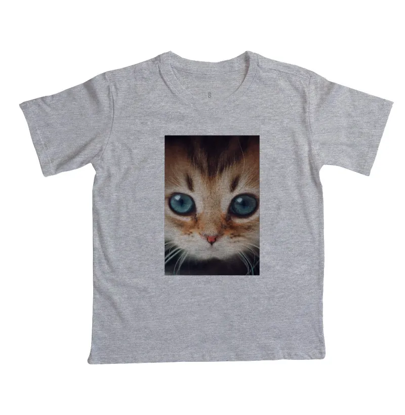 Gatinho - Imagem 5