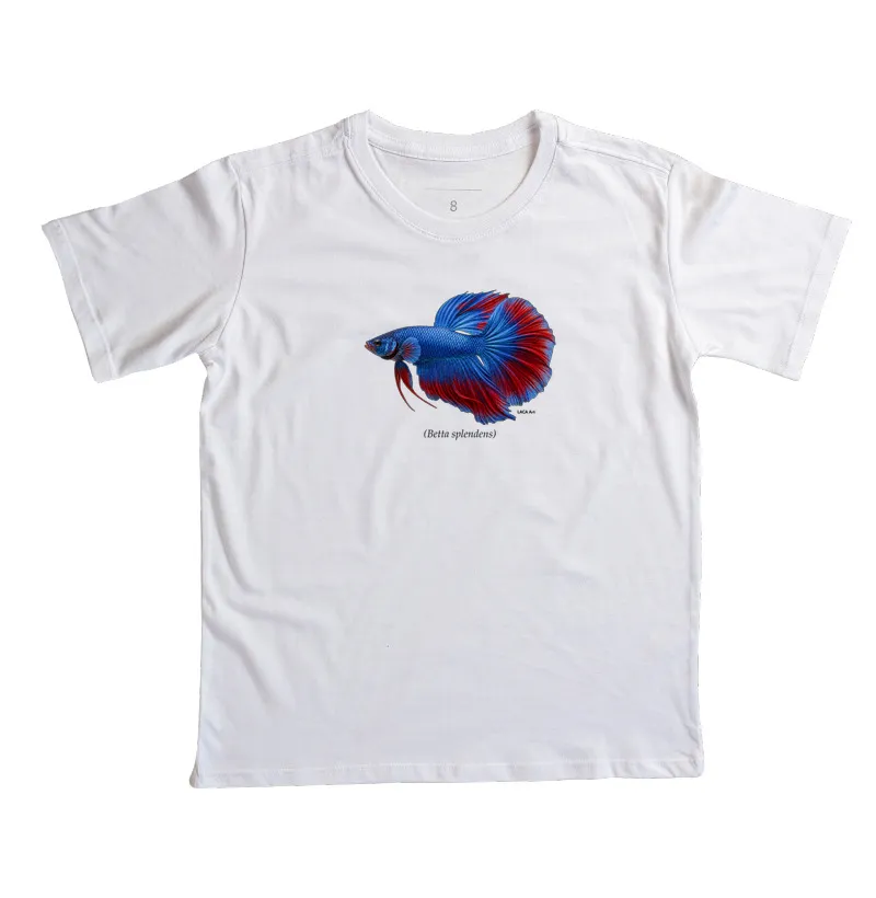 Betta - Imagem 5