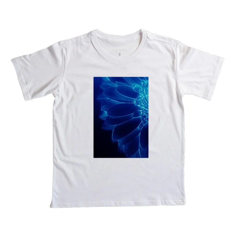 Flor azul - Imagem 3