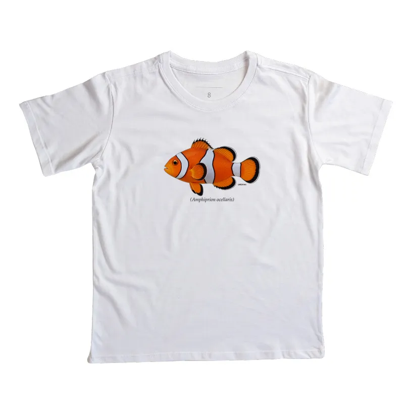 Peixe-Palhaço - Imagem 5