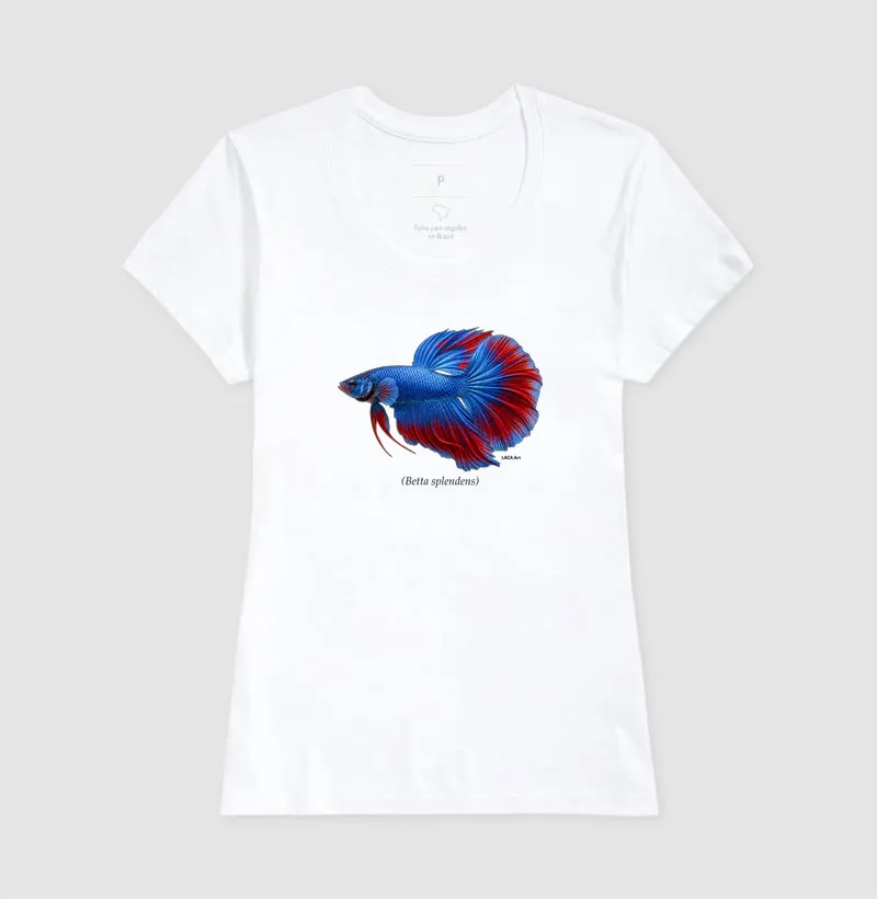 Betta - Imagem 5