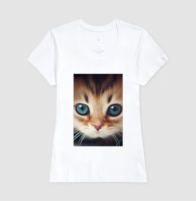 Gatinho - Imagem 5