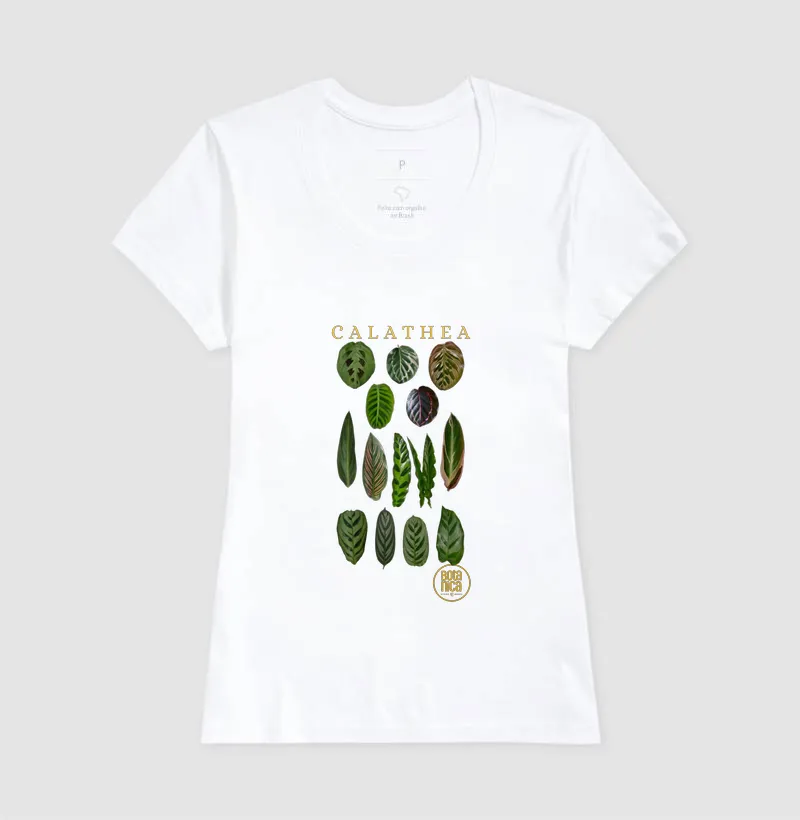 Calatheas - Imagem 5