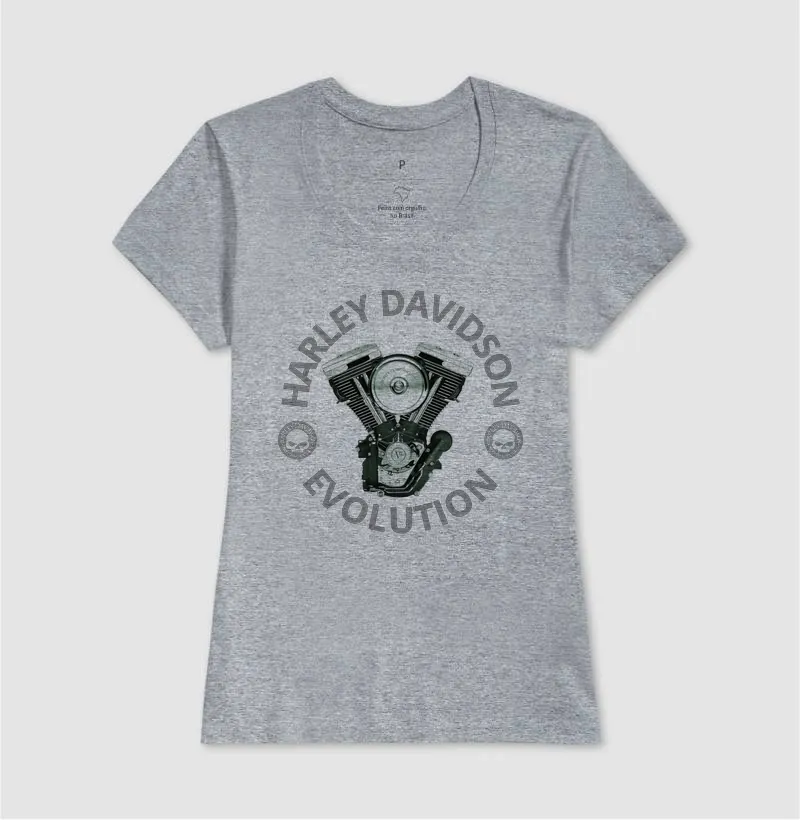 Harley Davidson Evolution - Imagem 9