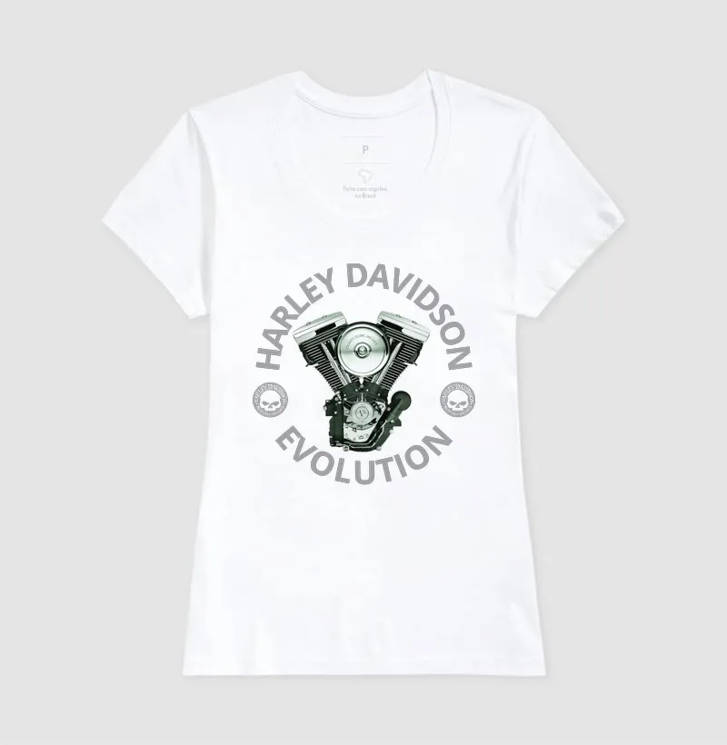 Harley Davidson Evolution - Imagem 5