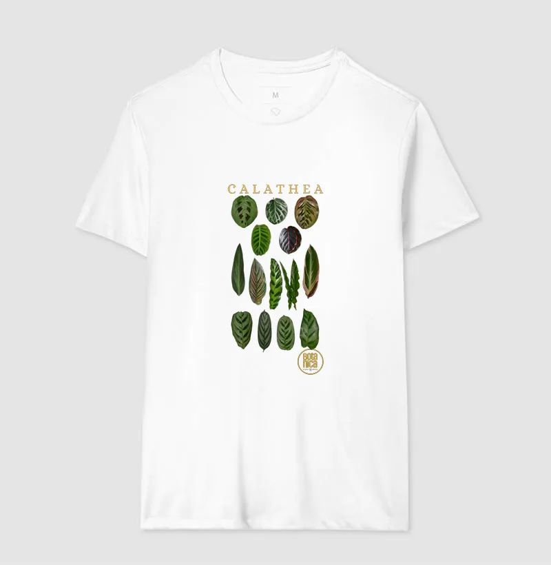 Calatheas - Imagem 4