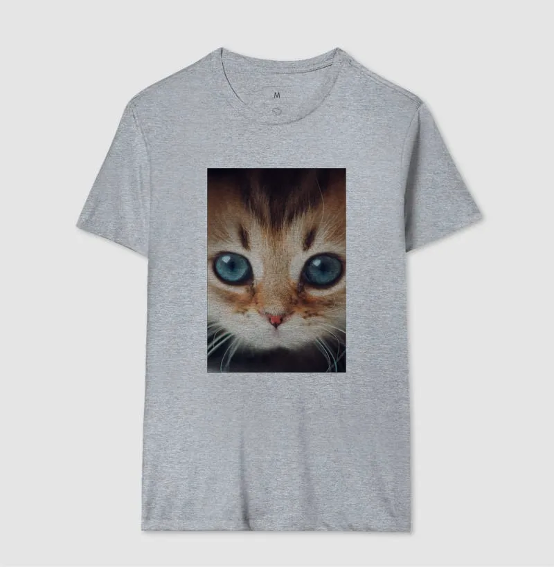 Gatinho - Imagem 8