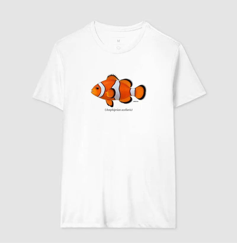 Peixe-Palhaço - Imagem 4