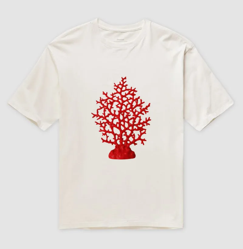 Coral - Imagem 4