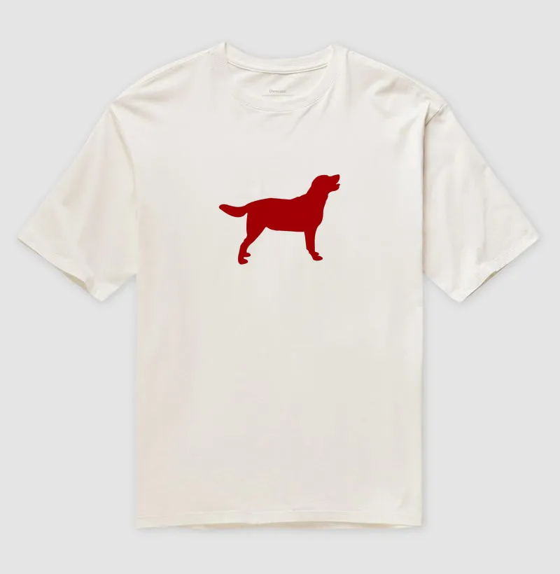 Dog Labby - Imagem 4
