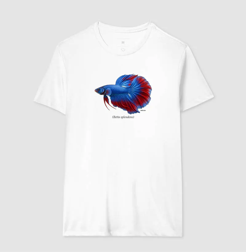 Betta - Imagem 4