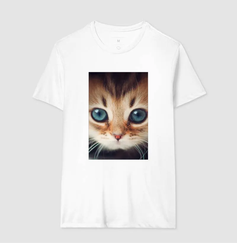Gatinho - Imagem 4