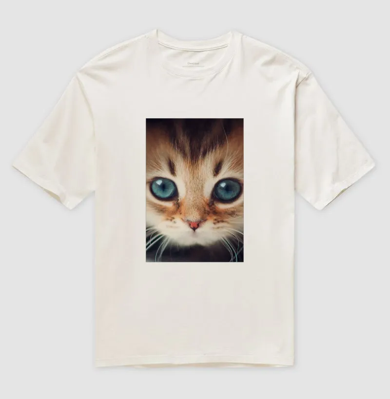 Gatinho - Imagem 4