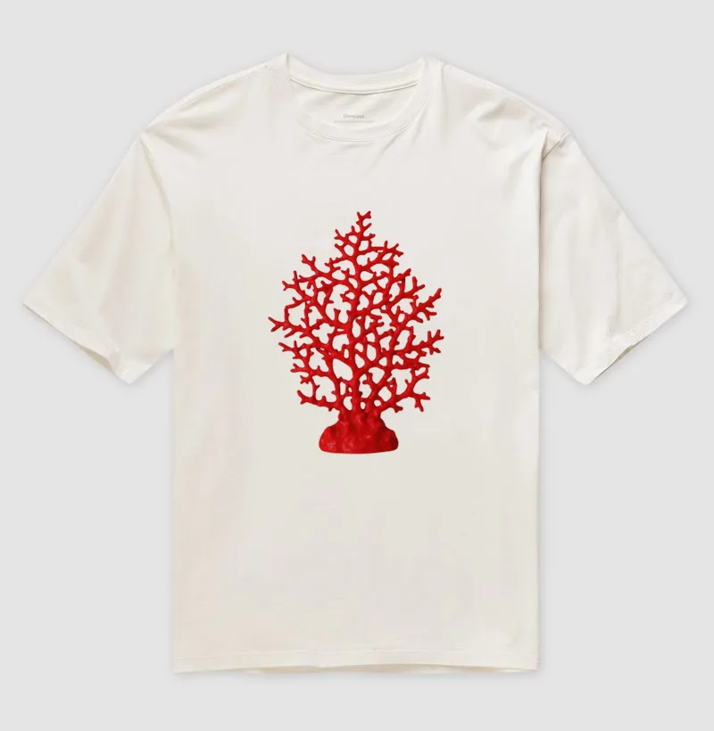 Coral  - Imagem 4