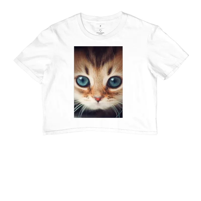 Gatinho - Imagem 3