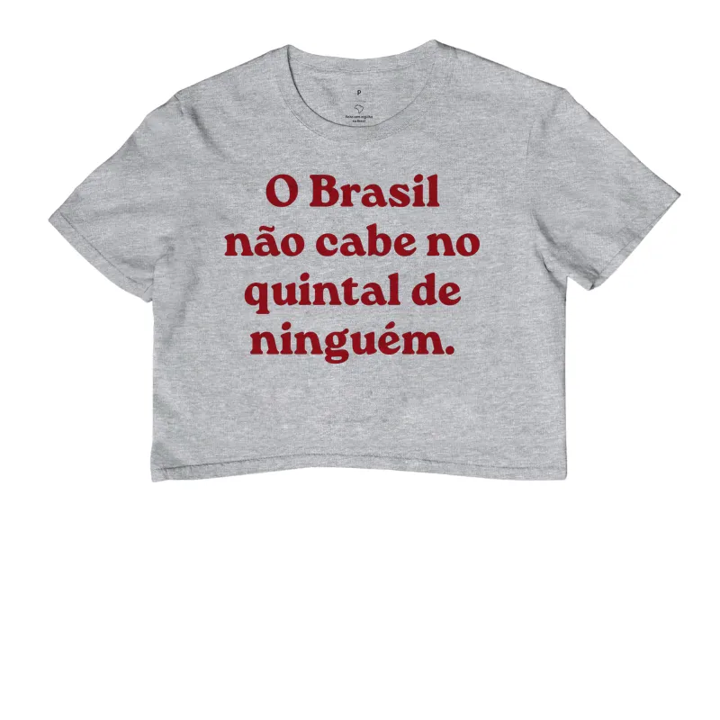 O Brasil não cabe no quintal de ninguém - Imagem 6
