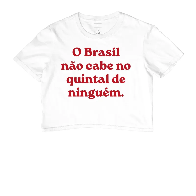 O Brasil não cabe no quintal de ninguém - Imagem 3