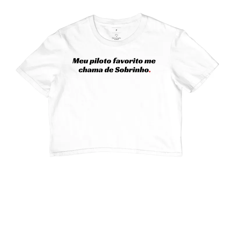 Meu Piloto Favorito me chama de Sobrinho - Imagem 3