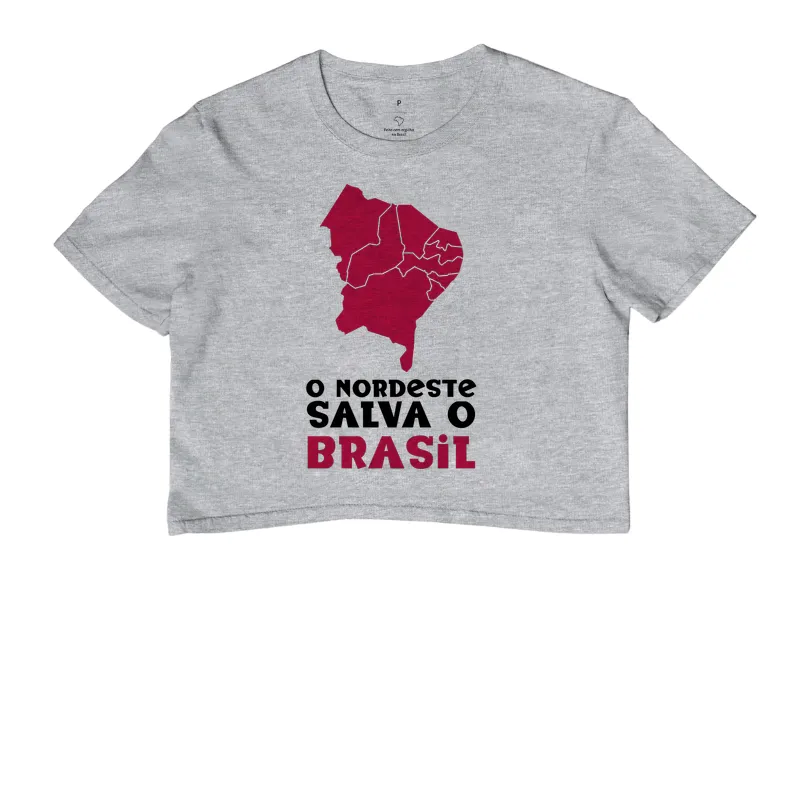 O nordeste salva o Brasil - Imagem 3