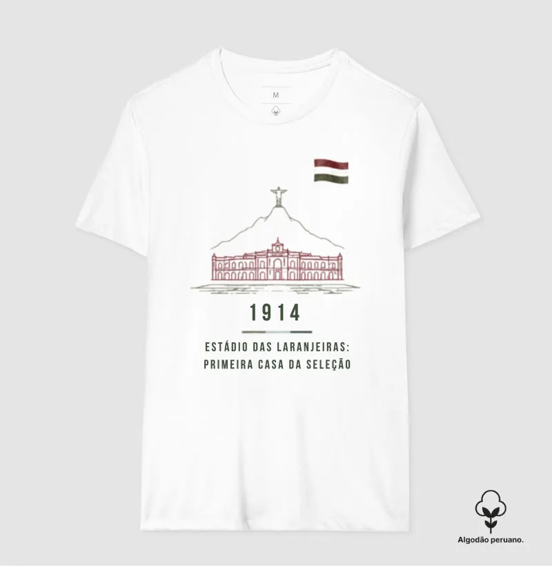 Clubes que vestiram Brasil - Fluminense