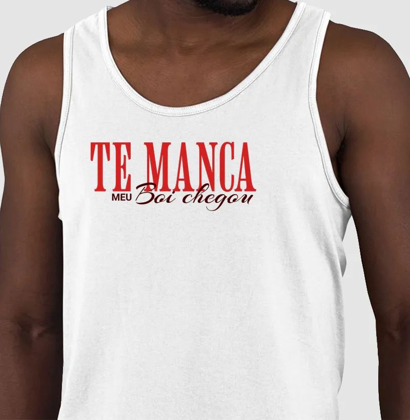 Te manca, meu boi chegou - Garantido