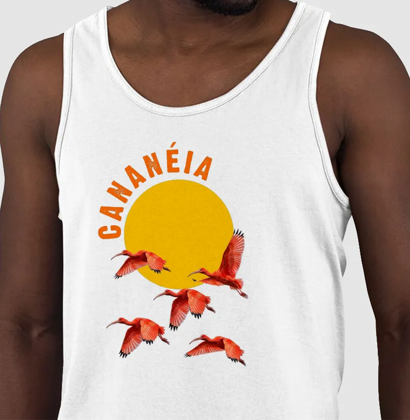 Cananéia e os Guarás