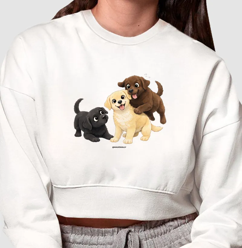3 Labradores