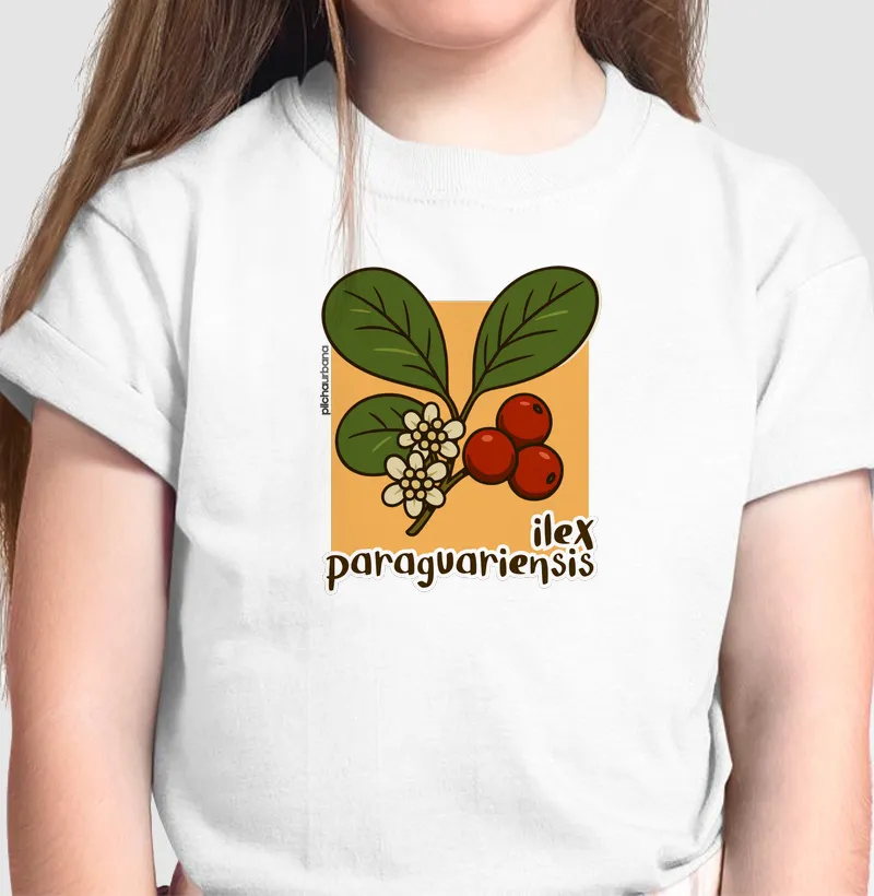 Planta Ilex 