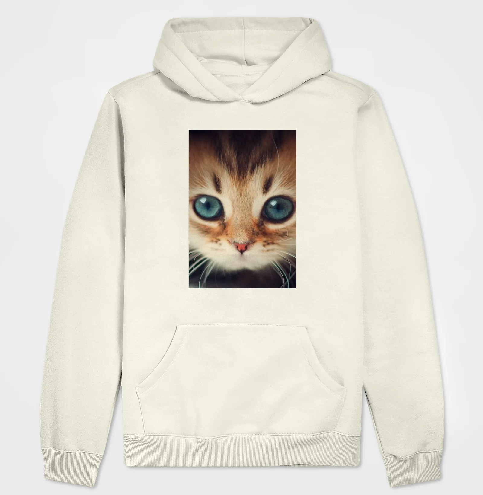 Gatinho - Imagem 3