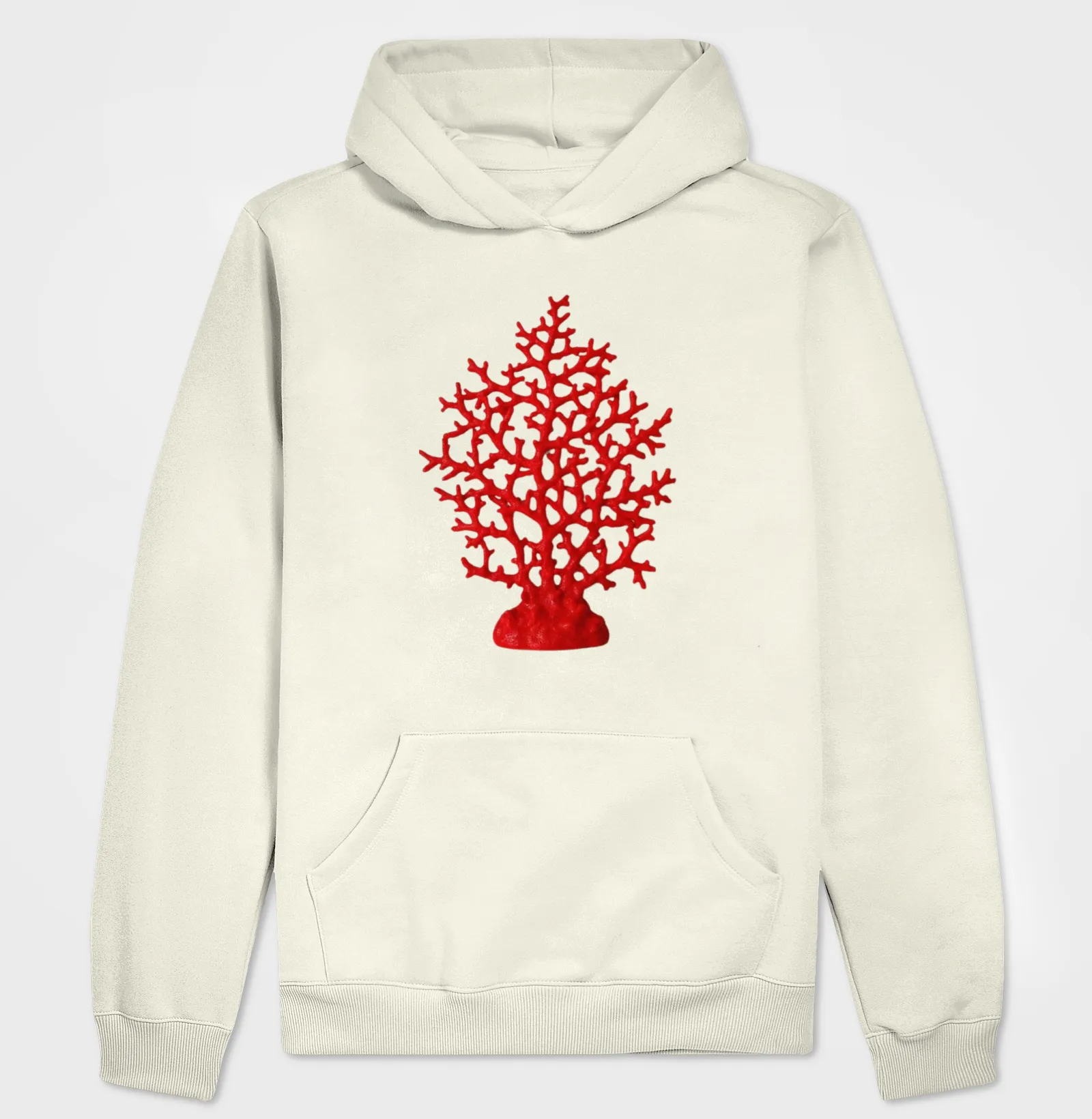 Coral - Imagem 3