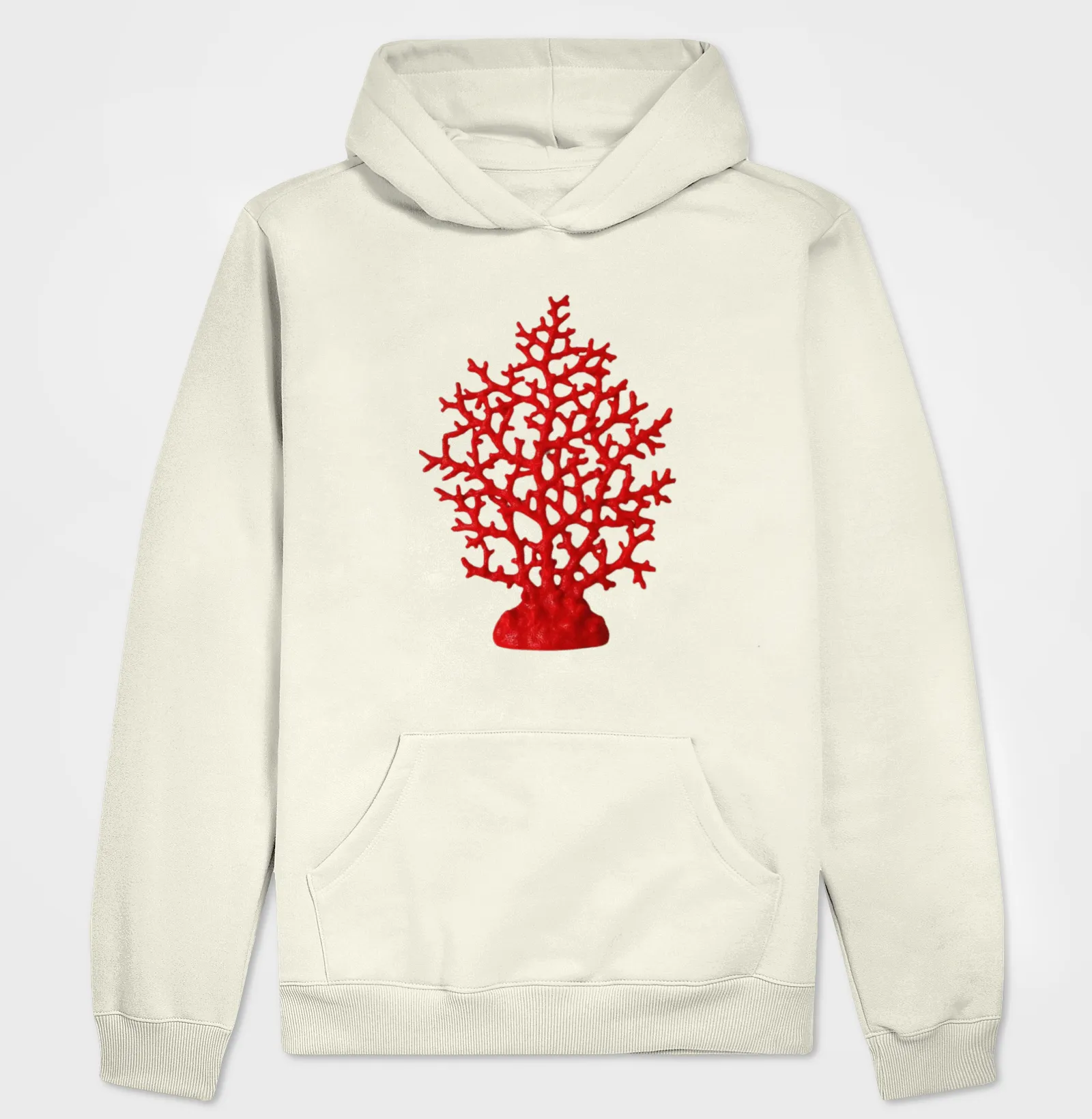 Coral  - Imagem 3
