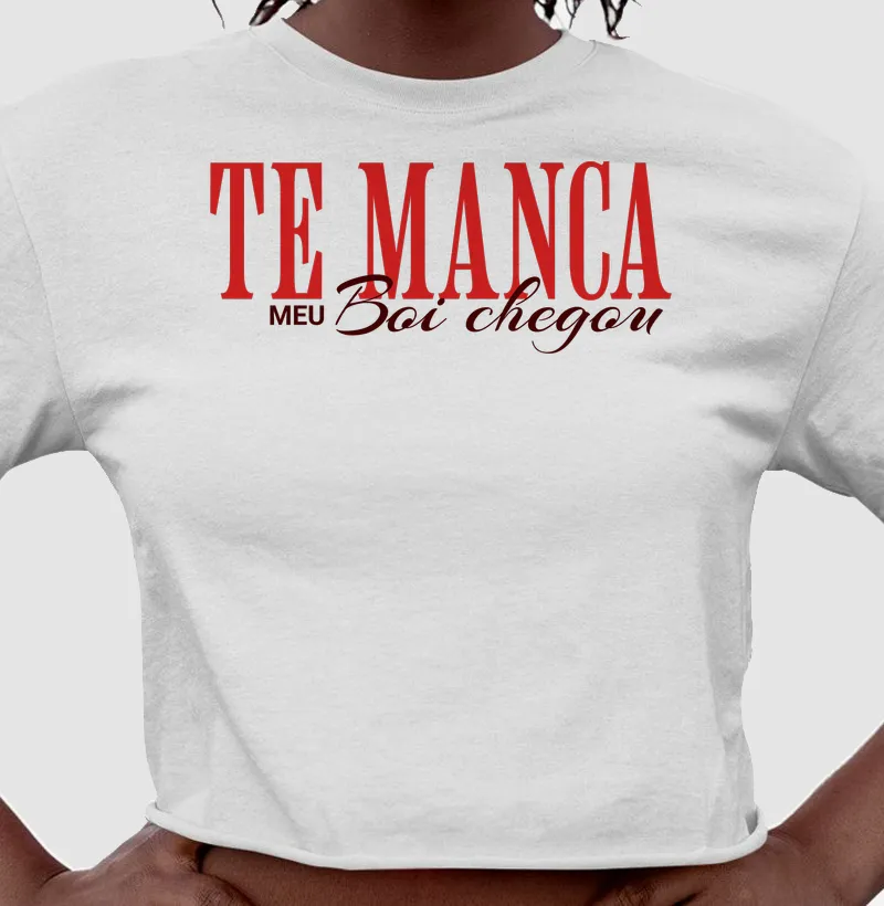 Te manca, meu boi chegou - Garantido