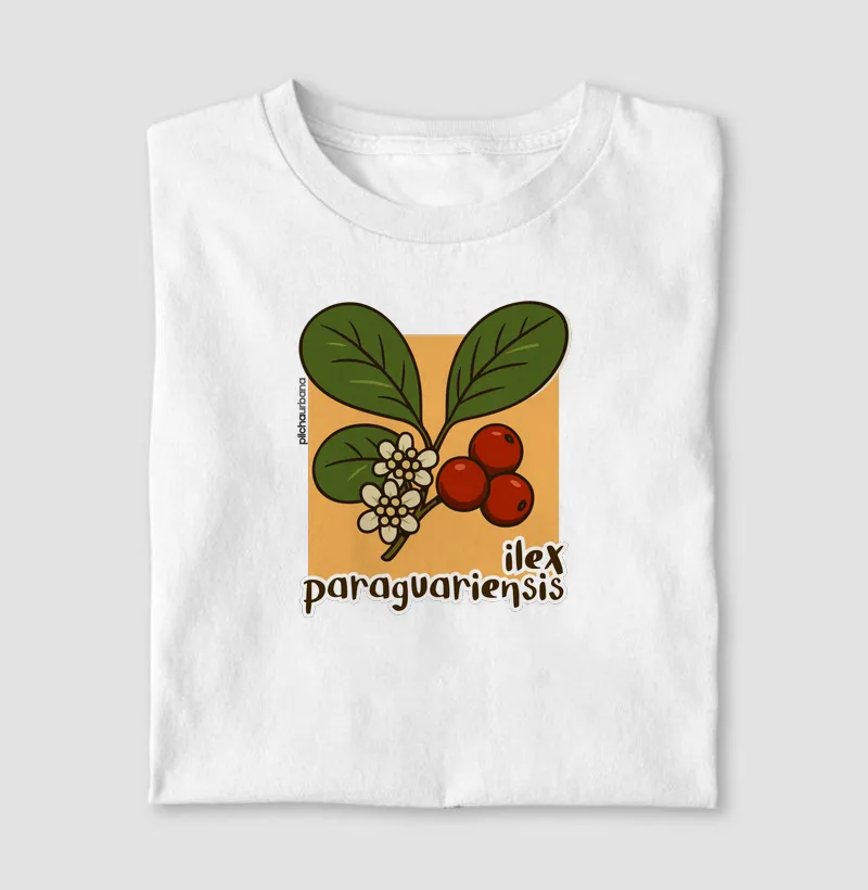 Planta Ilex 