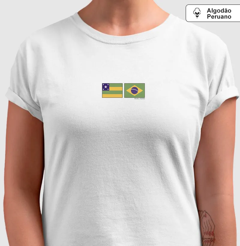 Bandeira Sergipe - Brasil