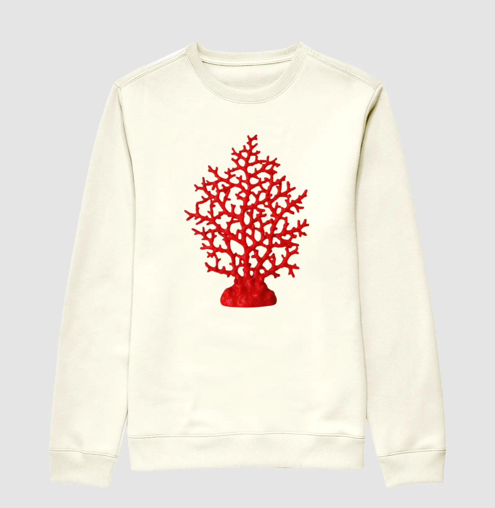 Coral  - Imagem 2
