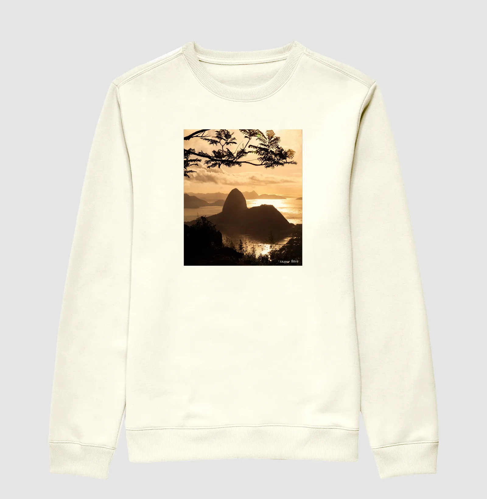 Camisa 1