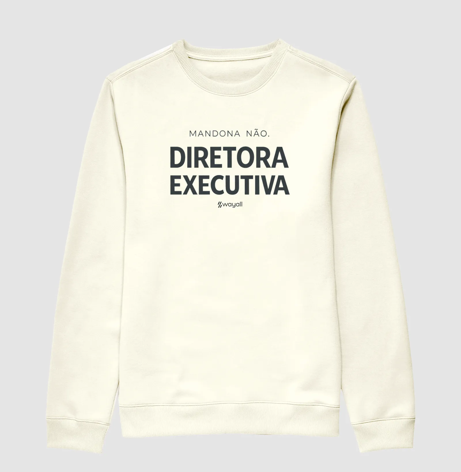 Diretora executiva - Imagem 2