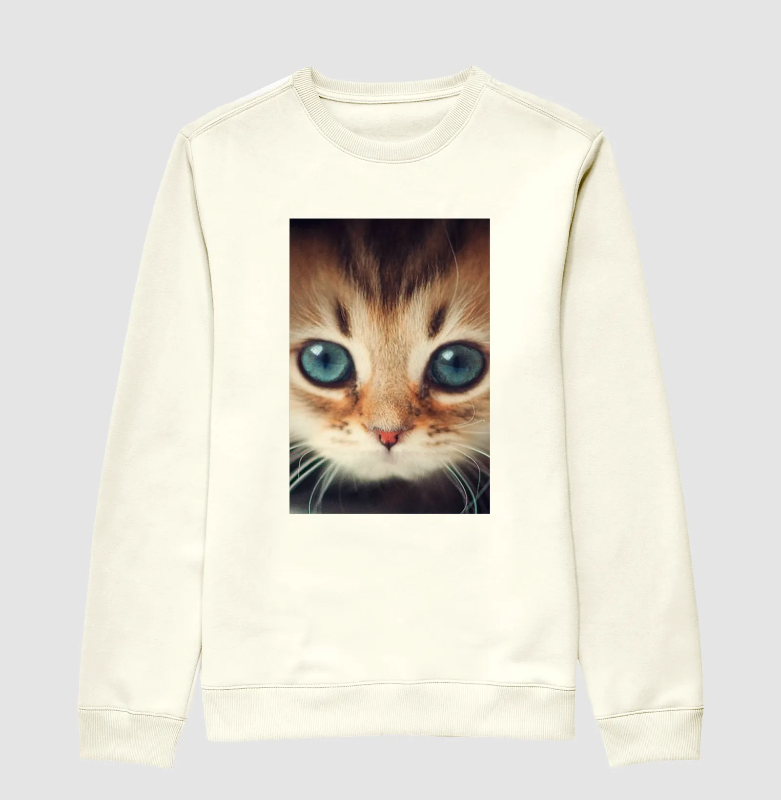 Gatinho - Imagem 2