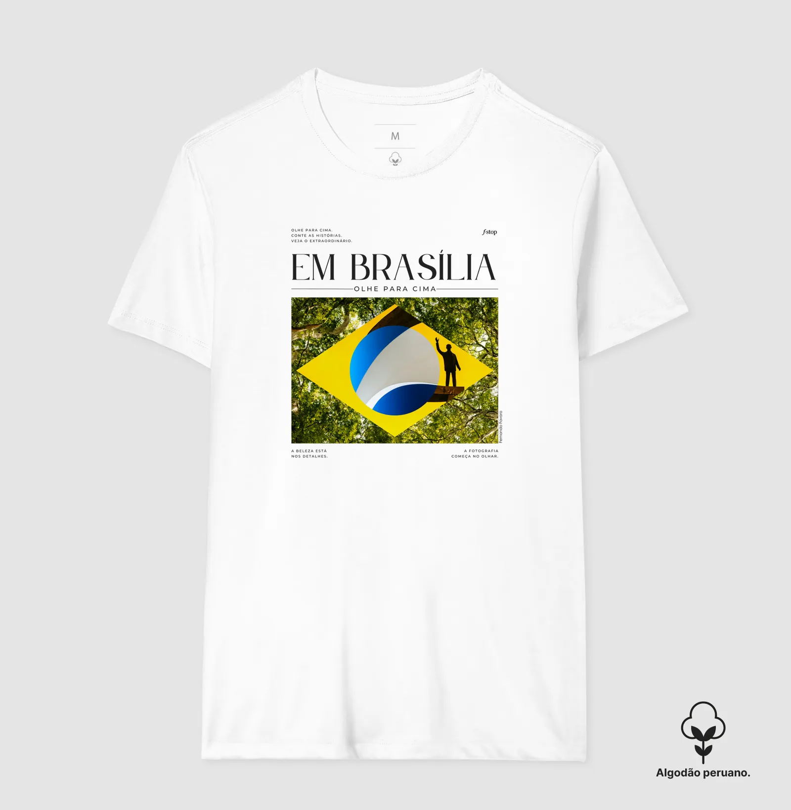 Em Brasília, olhe para cima - Imagem 6