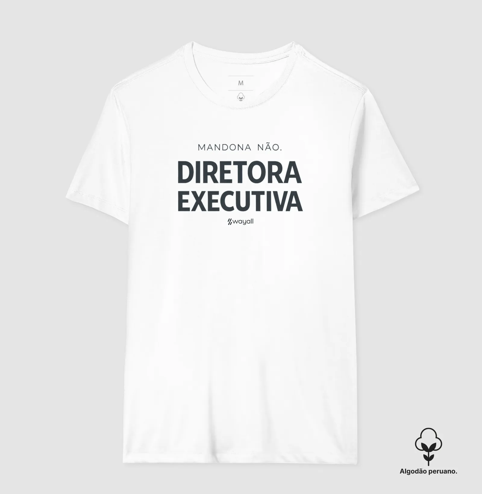 Diretora executiva - Imagem 6